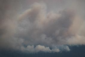 Tremont Creek Wildfire Burning In BC - Canada