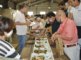 "Matsutake" mushrooms at Wakayama market