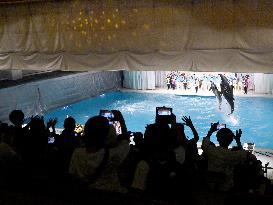 Aquarium near Tokyo ends 53-year history