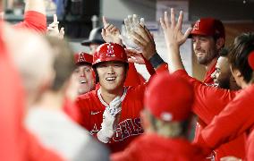 Baseball: Angels vs. Mariners