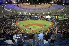 Baseball: Rays-Red Sox ALDS