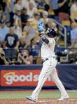 Baseball: Rays-Red Sox ALDS