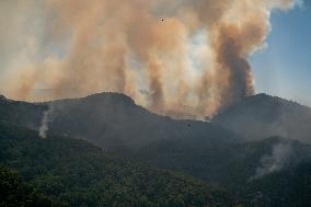 Wildfires continues at Turkeys coastal regions - Mugla