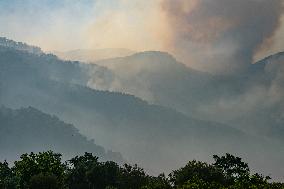 Wildfires continues at Turkeys coastal regions - Mugla