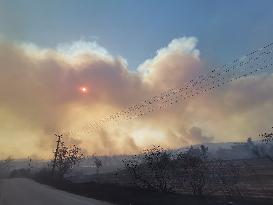 Wildfires continues at Turkeys coastal regions - Antalya