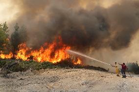 Wildfires continues at Turkeys coastal regions - Antalya