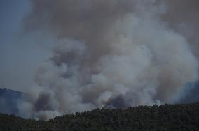 Wildfires continues at Turkeys coastal regions - Bodrum