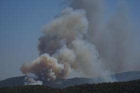 Wildfires continues at Turkeys coastal regions - Bodrum