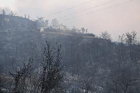 Wildfires continues at Turkey's coastal regions - Antalya