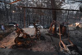 Wildfires continues at Turkey's coastal regions - Antalya