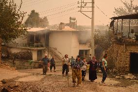 Wildfires continues at Turkey's coastal regions - Manavgat