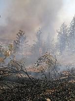 Wildfires continues at Manavgat - Turkey