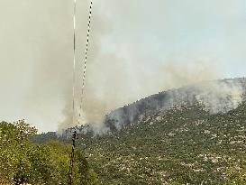 Wildfires continues at Manavgat - Turkey