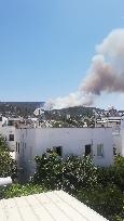 Wildfires continues at Bodrum - Turkey