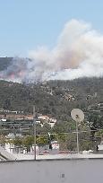 Wildfires continues at Bodrum - Turkey