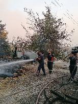 Wildfires in Turkey - Manavgat