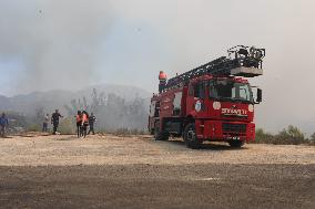 Wildfires in Turkey - Manavgat