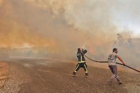 Wildfires in Turkey - Manavgat