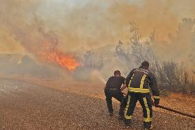 Wildfires in Turkey - Manavgat