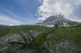 Sinabung Volcano Prolonged Eruption - Indonesia