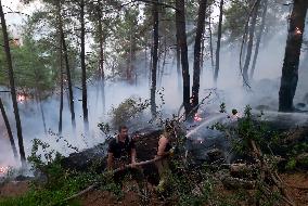 Wildfires around Turkish power plant - Milas