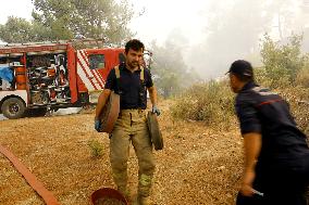 Wildfires around Turkish power plant - Milas