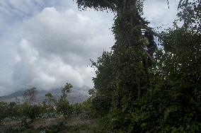 Daily-life Under Shadows Sinabung Eruption