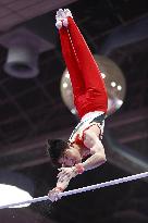 Gymnastics: World championships