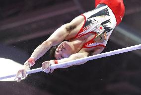 Gymnastics: World championships