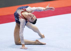 Artistic gymnastics: World championships