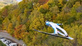 Ski jumping: Japanese championships