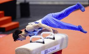 Artistic gymnastics: World championships