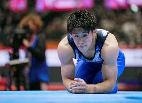 Artistic gymnastics: World championships