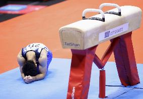 Artistic gymnastics: World championships