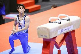 Artistic gymnastics: World championships