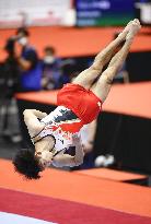 Artistic gymnastics: World championships