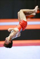 Artistic gymnastics: World championships