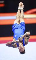 Artistic gymnastics: World championships