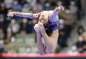 Artistic gymnastics: World championships