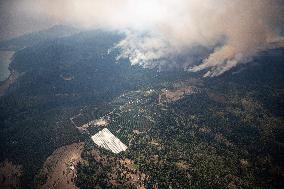 White Rock Lake Wildfire Expected To Grow - Canada