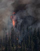 White Rock Lake Wildfire Expected To Grow - Canada