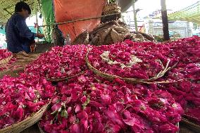 Selling Rose petals in Rajasthan