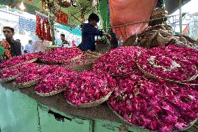 Selling Rose petals in Rajasthan