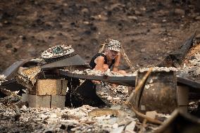 White Rock Lake Wildfire Aftermath - Canada