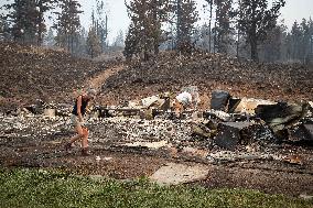 White Rock Lake Wildfire Aftermath - Canada