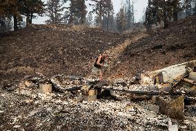 White Rock Lake Wildfire Aftermath - Canada