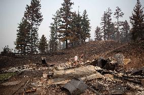 White Rock Lake Wildfire Aftermath - Canada