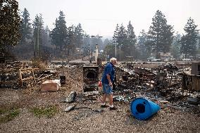White Rock Lake Wildfire Aftermath - Canada