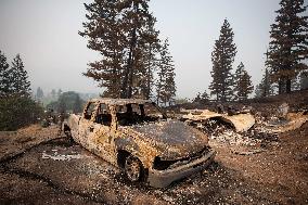 White Rock Lake Wildfire Aftermath - Canada