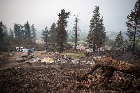 White Rock Lake Wildfire Aftermath - Canada